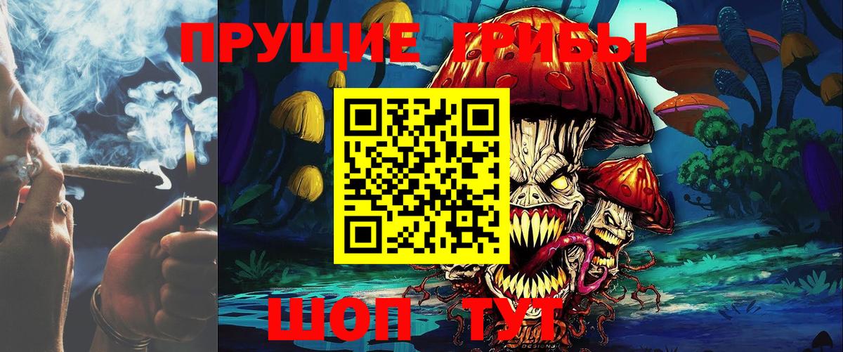 Благовещенск  Псилоцибиновые грибы GOLDEN TEACHER  купить наркотик  Галлюциногенные грибы Magic Shrooms  Вход с VPN 